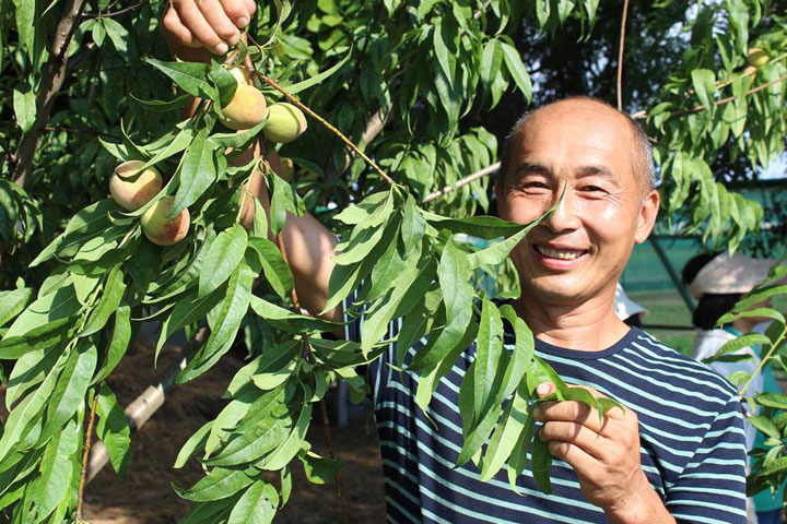 「幸福」守候 從落雨松翱向藍天